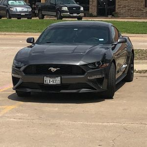 Meet your Posher, Beau